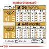 Royal Canin Yorkshire Terrier Puppy - Yorkshire Terrier kölyök kutya száraz táp  500 g