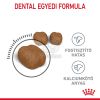 Royal Canin Dental Care - száraz táp felnőtt macskák részére a fogkőképződés csökkentéséért  400 g