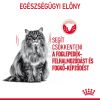 Royal Canin Dental Care - száraz táp felnőtt macskák részére a fogkőképződés csökkentéséért  400 g