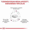 Royal Canin Renal  2 kg
