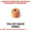 Royal Canin Labrador Adult - Labrador Retriever felnőtt kutya száraz táp  12 kg