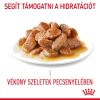 Royal Canin Hair & Skin Care - szószos nedves táp felnőtt macskák részére a szebb szőrzetért és az egészséges bőrért  85 g