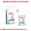 Royal Canin Hypoallergenic 21  7 kg