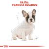 Royal Canin French Bulldog Puppy - Francia Bulldog kölyök kutya száraz táp  3 kg