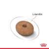 Royal Canin Mini Light Weight Care - száraz táp hízásra hajlamos, kistestű felnőtt kutyák részére  8 kg