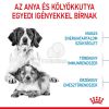 Royal Canin Medium Starter Mother & Babydog - közepes testű kölyök vemhes kutya száraz táp  1 kg