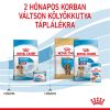 Royal Canin Medium Starter Mother & Babydog - közepes testű kölyök vemhes kutya száraz táp  1 kg