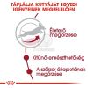 Royal Canin Medium Adult 7+ - közepes testű idősödő kutya száraz táp  4 kg