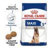 Royal Canin Maxi Adult 5+ - nagytestű idősödő kutya száraz táp  4 kg