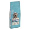 Dog Chow Puppy Large Breed Turkey  14 kg