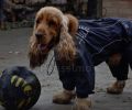Hurtta Pro Outdoor Overall - fekete  201 