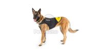 Julius-K9 Neoprén IDC kutyaruha  XL 