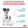 Royal Canin Mini Starter - száraz táp vemhes szuka és kistestű kölyök kutya részére  8.5 kg