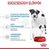 Royal Canin Mini Starter - száraz táp vemhes szuka és kistestű kölyök kutya részére  8.5 kg