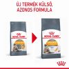 Royal Canin Hair & Skin Care - száraz táp felnőtt macskák részére a szebb szőrzetért és az egészséges bőrért  10 kg