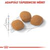 Royal Canin Protein Exigent - válogatós felnőtt macska száraz táp  2 kg
