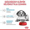 Royal Canin Medium Puppy - közepes testű kölyök kutya száraz táp  15 kg