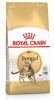 Royal Canin Bengal Adult - Bengáli felnőtt macska száraz táp  400 g