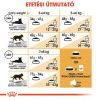 Royal Canin Bengal Adult - Bengáli felnőtt macska száraz táp  2 kg