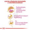 Royal Canin Maine Coon Kitten - Maine Coon kölyök macska száraz táp  2 kg