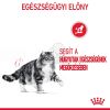 Royal Canin Urinary Care - száraz táp felnőtt macskák részére az alsó húgyúti problémák megelőzéséért  10 kg