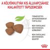 Royal Canin Mini Puppy - kistestű kölyök kutya száraz táp  2 kg