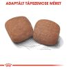 Royal Canin Giant Adult - óriás testű felnőtt kutya száraz táp  15+3 kg