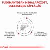 Royal Canin Renal Select  2 kg
