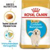 Royal Canin Golden Retriever Puppy - Golden Retriever kölyök kutya száraz táp  12 kg