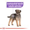 Royal Canin Sterilised - alutasakos eledel ivartalanított kutyák részére  85 g