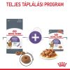 Royal Canin Appetite Control Care - étvágyat kontrolláló felnőtt macska száraz táp  3.5 kg