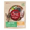 Purina ONE Mini / Small Active száraz kutyaeledel csirkével és rizzsel 800 g