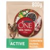 Purina ONE Mini / Small Active száraz kutyaeledel csirkével és rizzsel 800 g