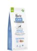 Brit Care Dog Sustainable Adult Large Breed  12 kg