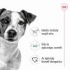 Royal Canin Mini Adult konzerv  195 g