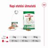 Royal Canin Mini Adult konzerv  195 g