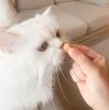 Inaba Cat Fun Bites Wrap - csirke-sajt 8 x  12 g