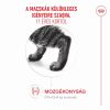Royal Canin Ageing 11+ - száraztáp idős macskák számára  4 kg