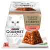 Gourmet Revelations pástétom lazaccal zselében - nedves macskaeledel 2 x  57 g