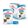 Royal Canin X-Small Puppy alutasakos 12 x  85 g