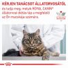 Royal Canin Feline Skin & Coat Coat Formula Wet - Alutasakos 12 x  85 g