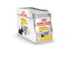 Royal Canin Dermacomfort - alutasakos eledel bőrirritációra hajlamos kutyák részére 12 x  85 g
