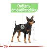 Royal Canin Digestive Care - alutasakos eledel érzékeny emésztésű kutyák részére 12 x  85 g