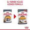 Royal Canin Hair & Skin Care - szószos nedves táp felnőtt macskák részére a szebb szőrzetért és az egészséges bőrért 12 x  85 g