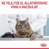 Royal Canin Hair & Skin Care - szószos nedves táp felnőtt macskák részére a szebb szőrzetért és az egészséges bőrért 12 x  85 g