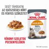 Royal Canin Hair & Skin Care - szószos nedves táp felnőtt macskák részére a szebb szőrzetért és az egészséges bőrért 12 x  85 g