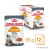 Royal Canin Hair & Skin Care - szószos nedves táp felnőtt macskák részére a szebb szőrzetért és az egészséges bőrért 12 x  85 g