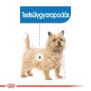 Royal Canin Light Weight Care - alutasakos eledel hízásra hajlamos kutyák részére 12 x  85 g