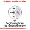 Royal Canin Sterilised - alutasakos eledel ivartalanított kutyák részére 12 x  85 g