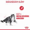 Royal Canin Urinary Care - szószos nedves táp felnőtt macskák részére az alsó húgyúti problémák megelőzéséért 12 x  85 g